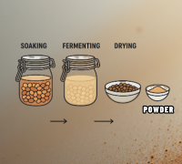 Fermentation process diagram showing how natural probiotics are formed for gut health
