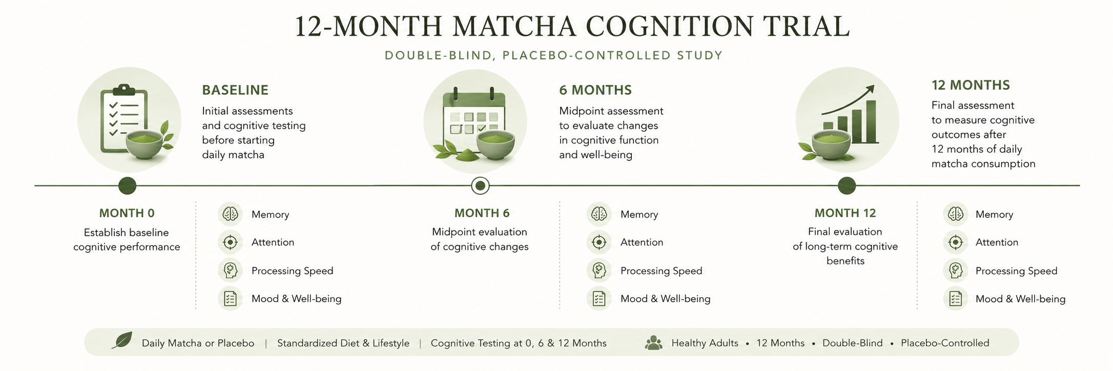 Timeline_infographic_of_the_12-month_matcha_cognition_trial_baseline_6_months_12_months